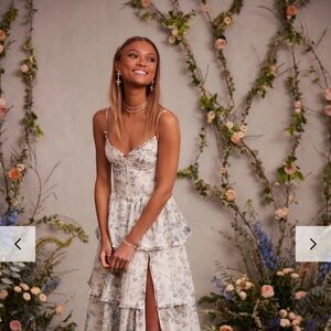 V Chapman Caterina size 2 prom dress